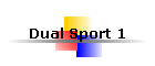 Dual Sport 1