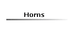 Horns