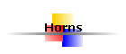 Horns